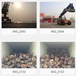 赞比亚木材进口上海清关送货，付汇服务