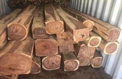 非洲木材进口中山手续流程汇总，审价有方
